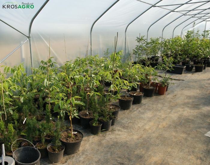 Foil tunnel for protecting seedlings for companies