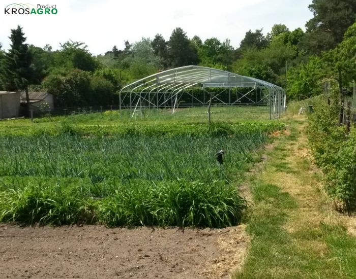 A professional polytunnel for farms