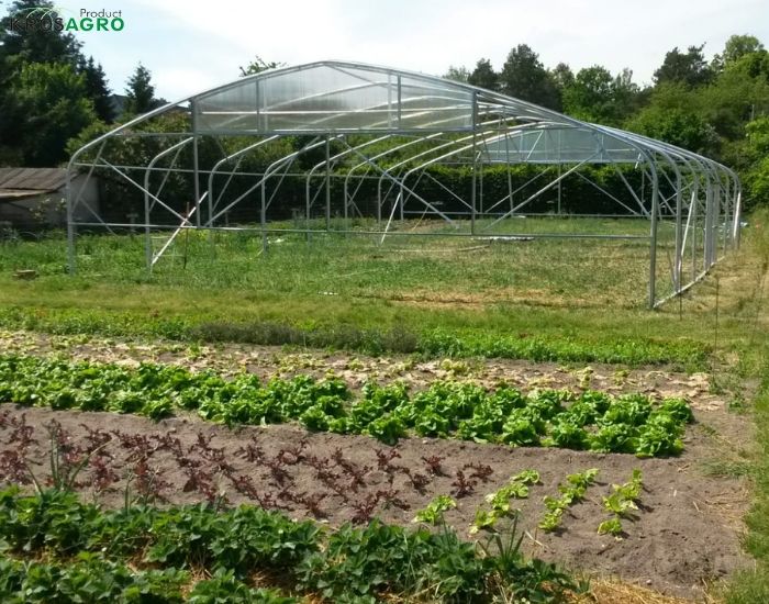 Twisting elements of a free-standing polytunnel
