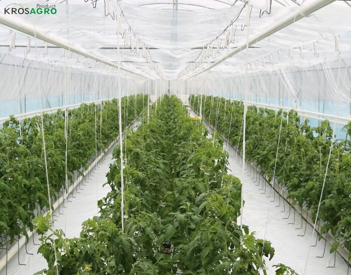 Profesjonalny tunel foliowy do uprawy roślin