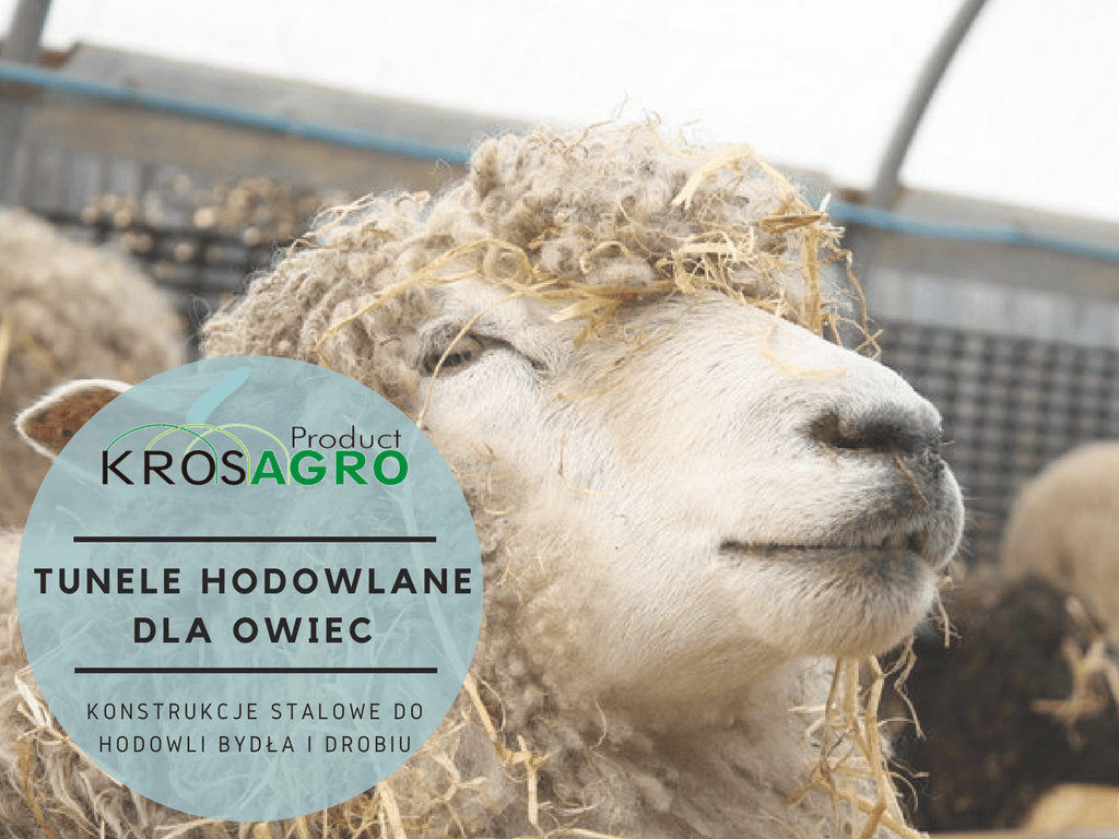 Hodowlane konstrukcje Krosagro dla owiec
