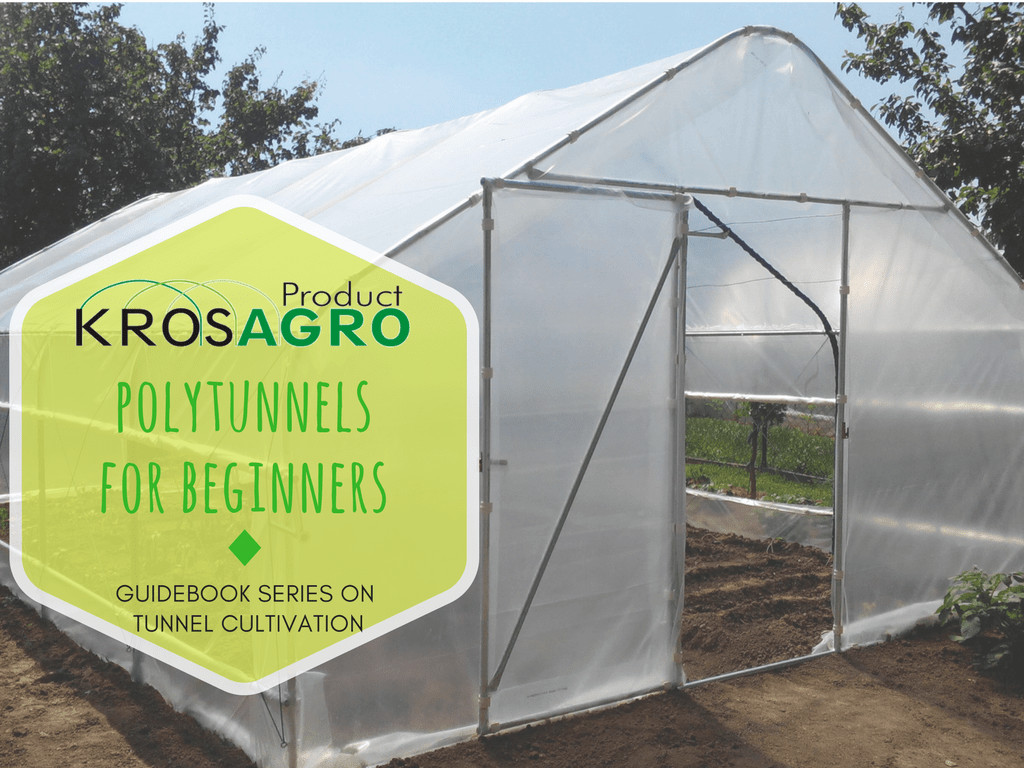 Polytunnel for beginners