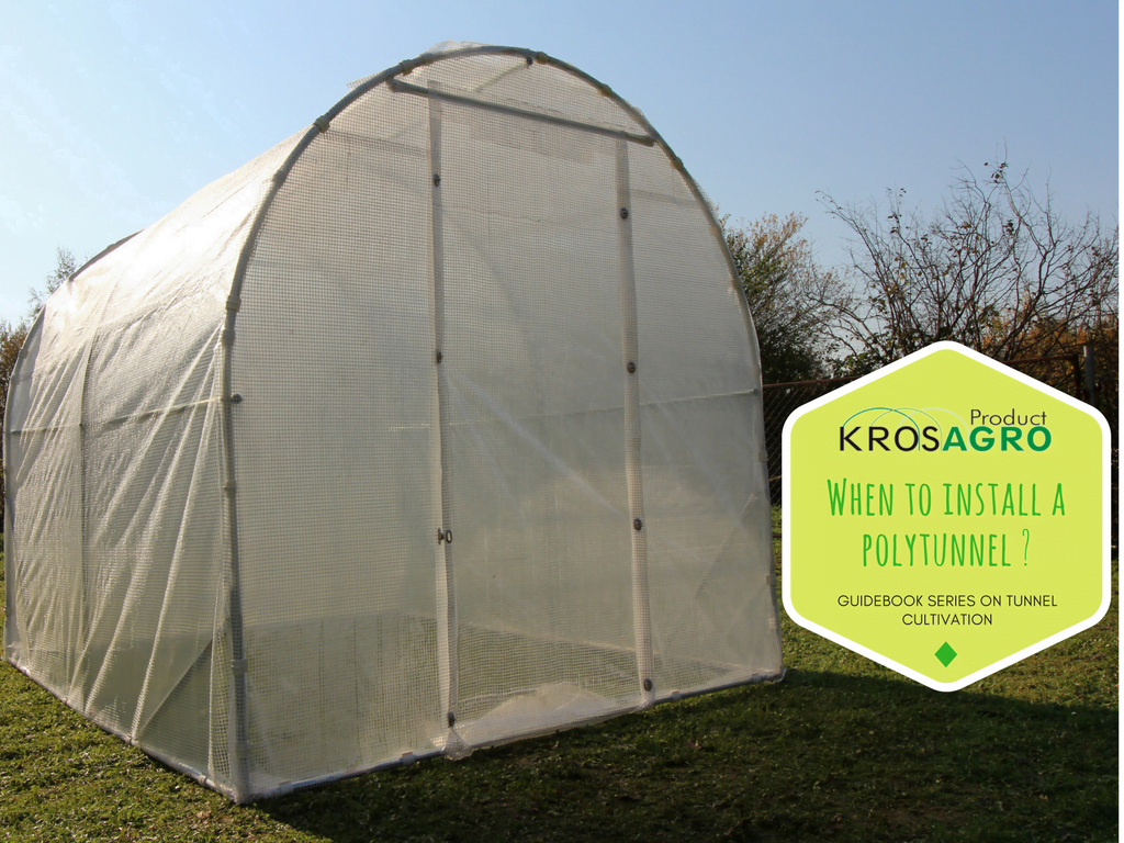 When to install a polytunnel?