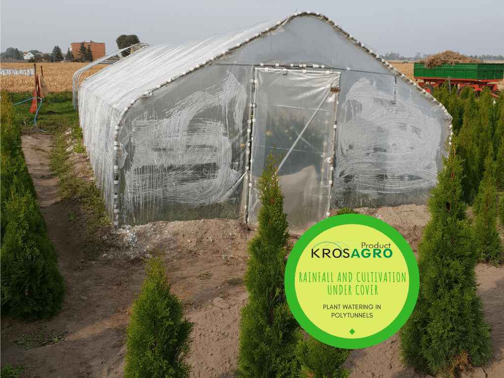 Ecological watering in polytunnels