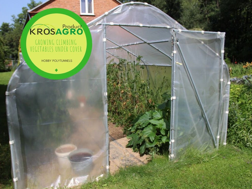 Growing climbing vegetables under cover