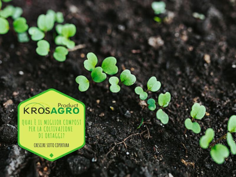 Qual è il miglior compost per la coltivazione di ortaggi - Krosagro
