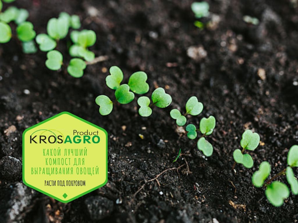 Какой лучший компост для выращивания овощей - Кросагро