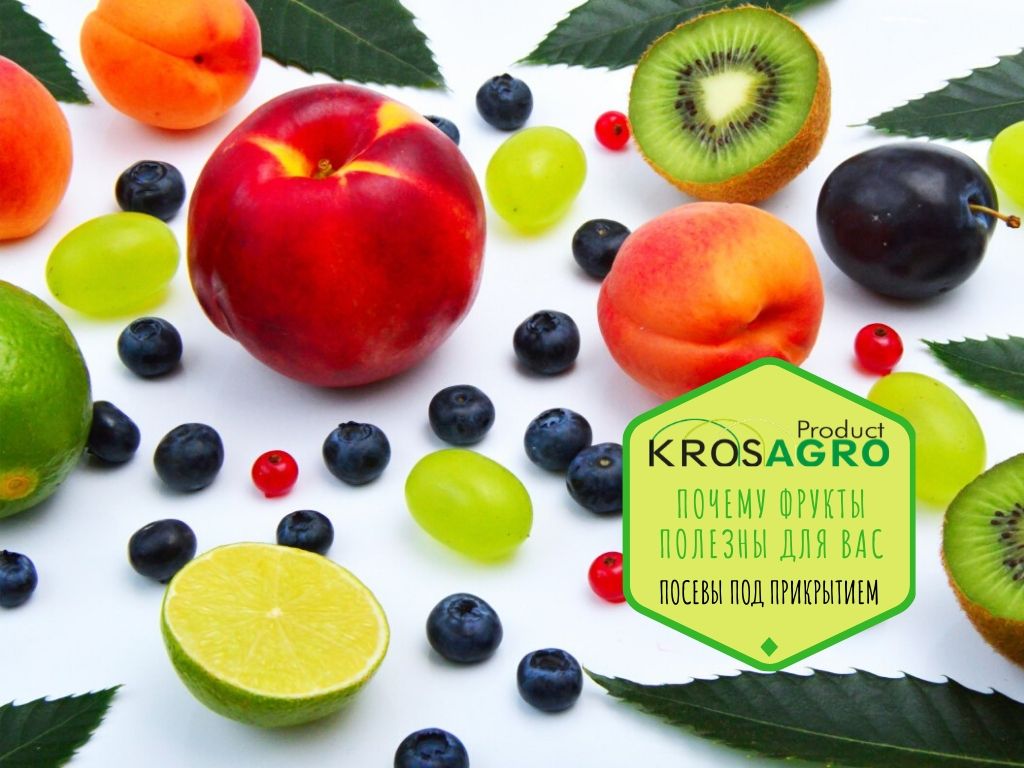 Почему фрукты полезны для вас - производитель теплиц - Кросагро