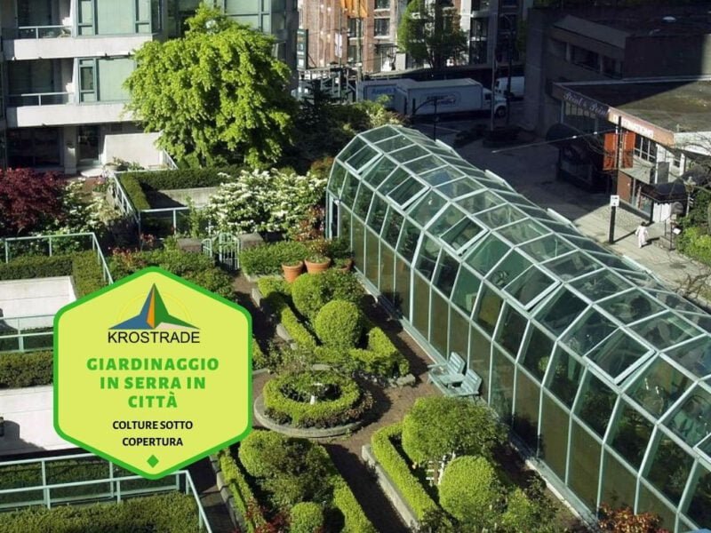 Greenhouse Gardening In The City - greenhouse manufacturer - Krosagro