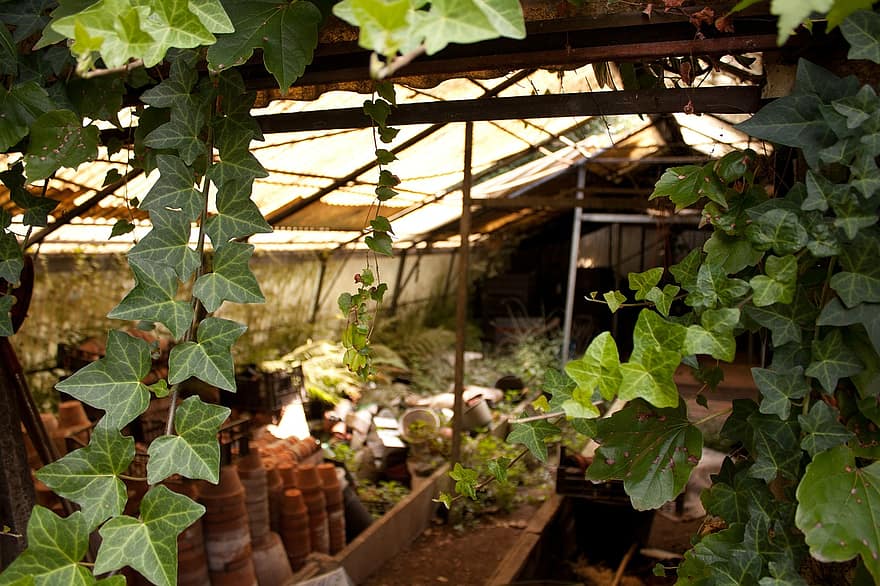 How To Insulate A Greenhouse 1
