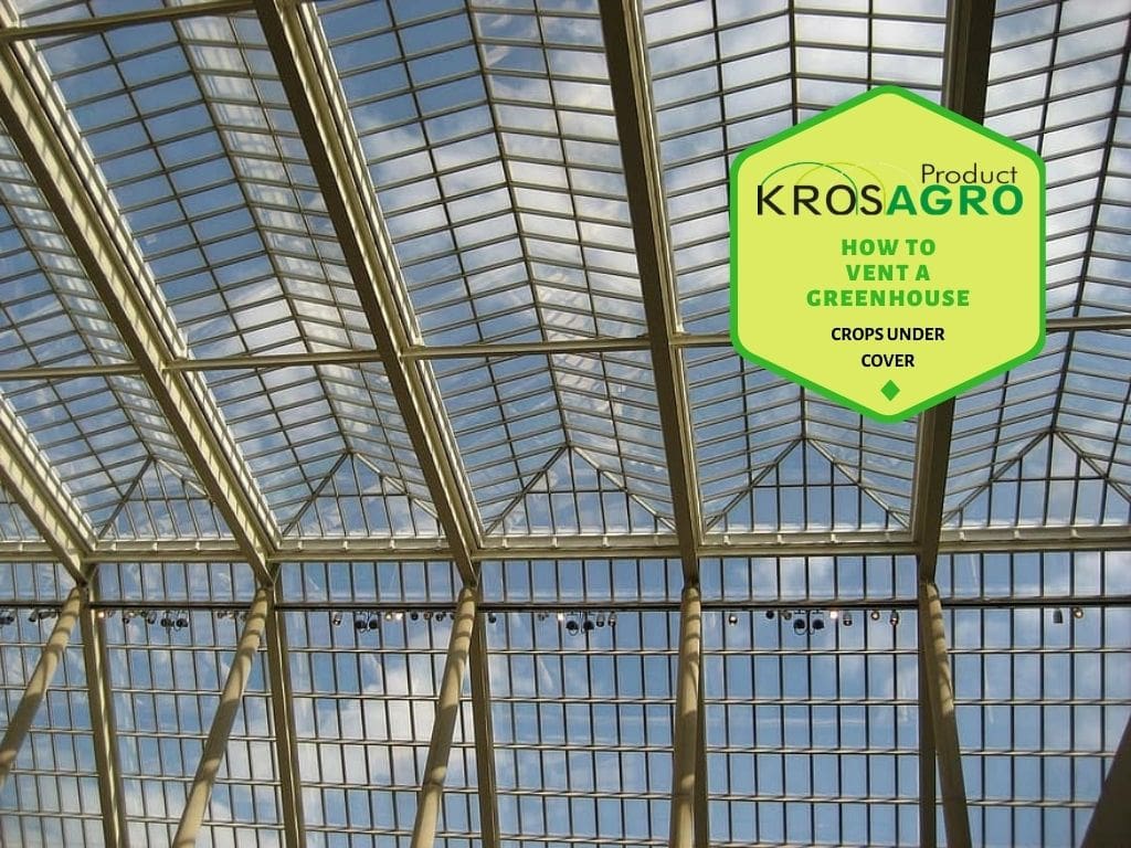 How To Vent A Greenhouse - Krosagro