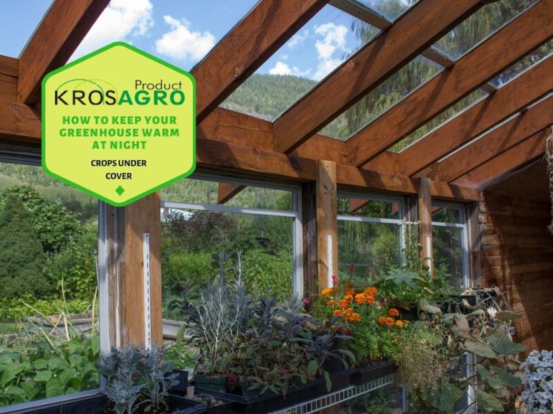How To Keep Your Greenhouse Warm At Night - Krosagro