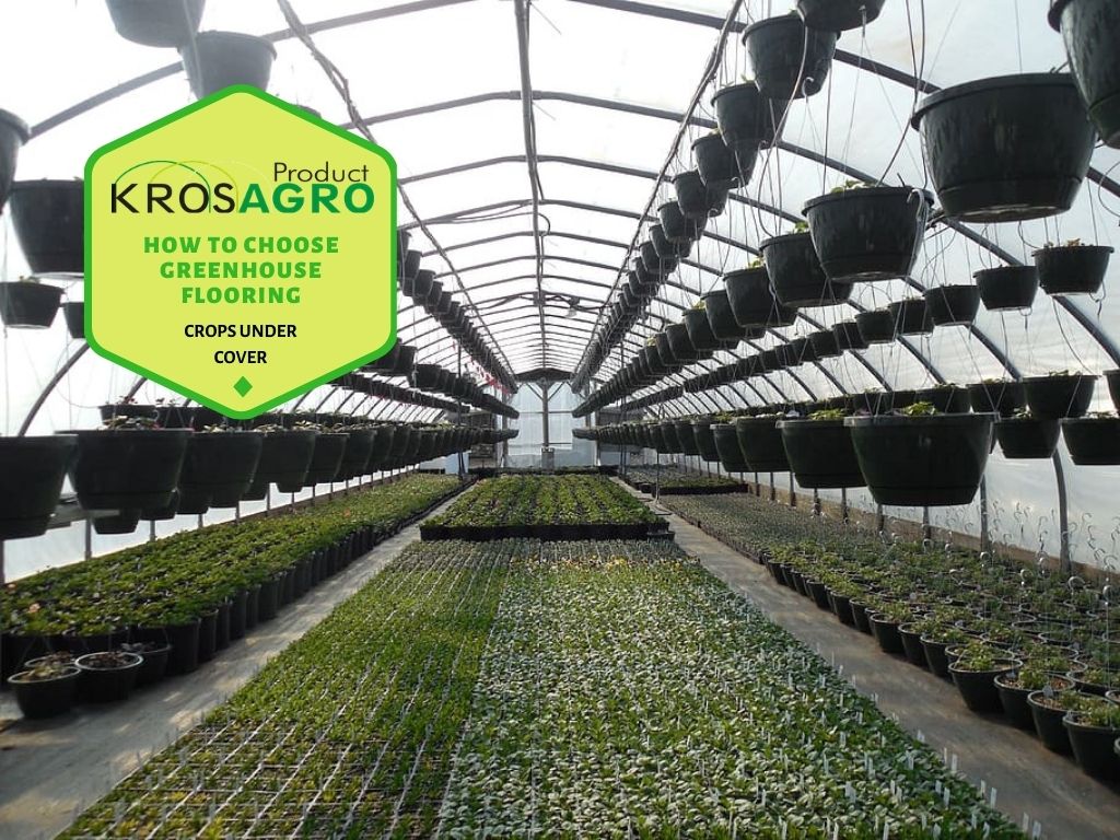 How To Choose Greenhouse Flooring - Krosagro