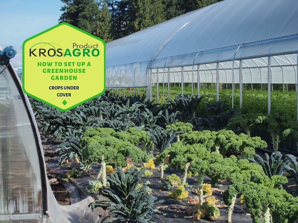 How To Set Up A Greenhouse Garden - Krosagro