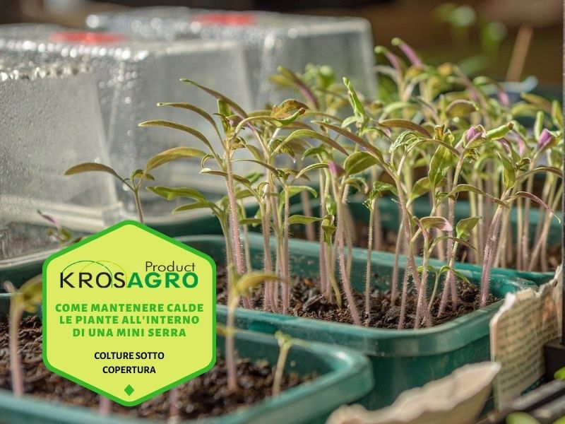 Come mantenere calde le piante all'interno di una mini serra - produttore di serre - Krosagro