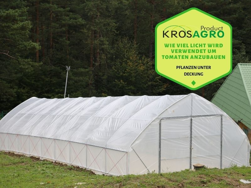 Wie viel Licht wird verwendet, um Tomaten anzubauen - Gewächshaushersteller - Krosagro