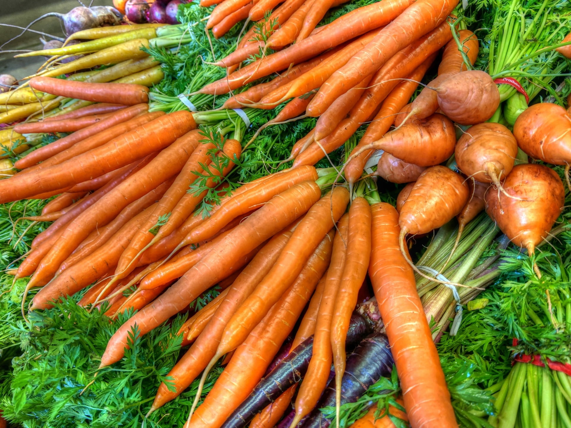 Die Grundlagen des Karottenanbaus in Deutschland 1