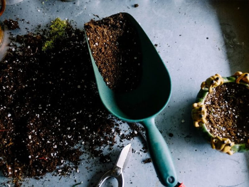 How To Dispose Of Potting Soil The Best Way 1