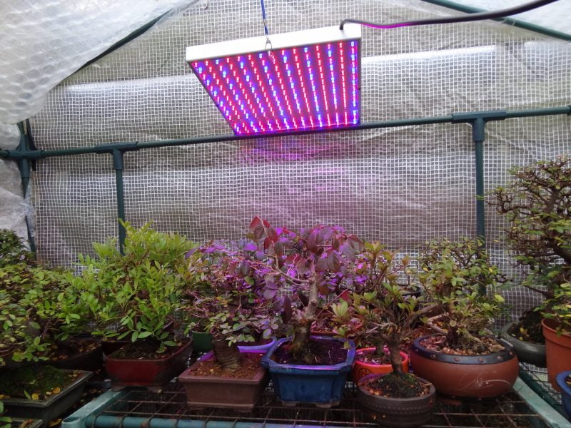 Quelle lumière pour cultiver sous serre: fluorescente ou LED 1