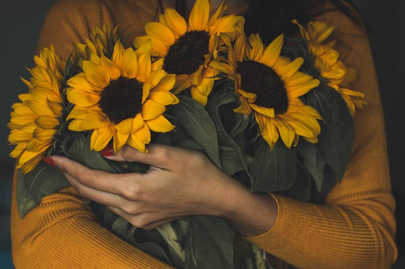 So pflegen Sie geschnittene Sonnenblumen: 10 einfach zu befolgende Schritte 1