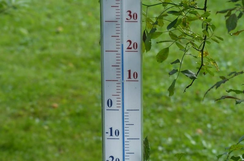 Cómo medir la temperatura del aire en un invernadero 1