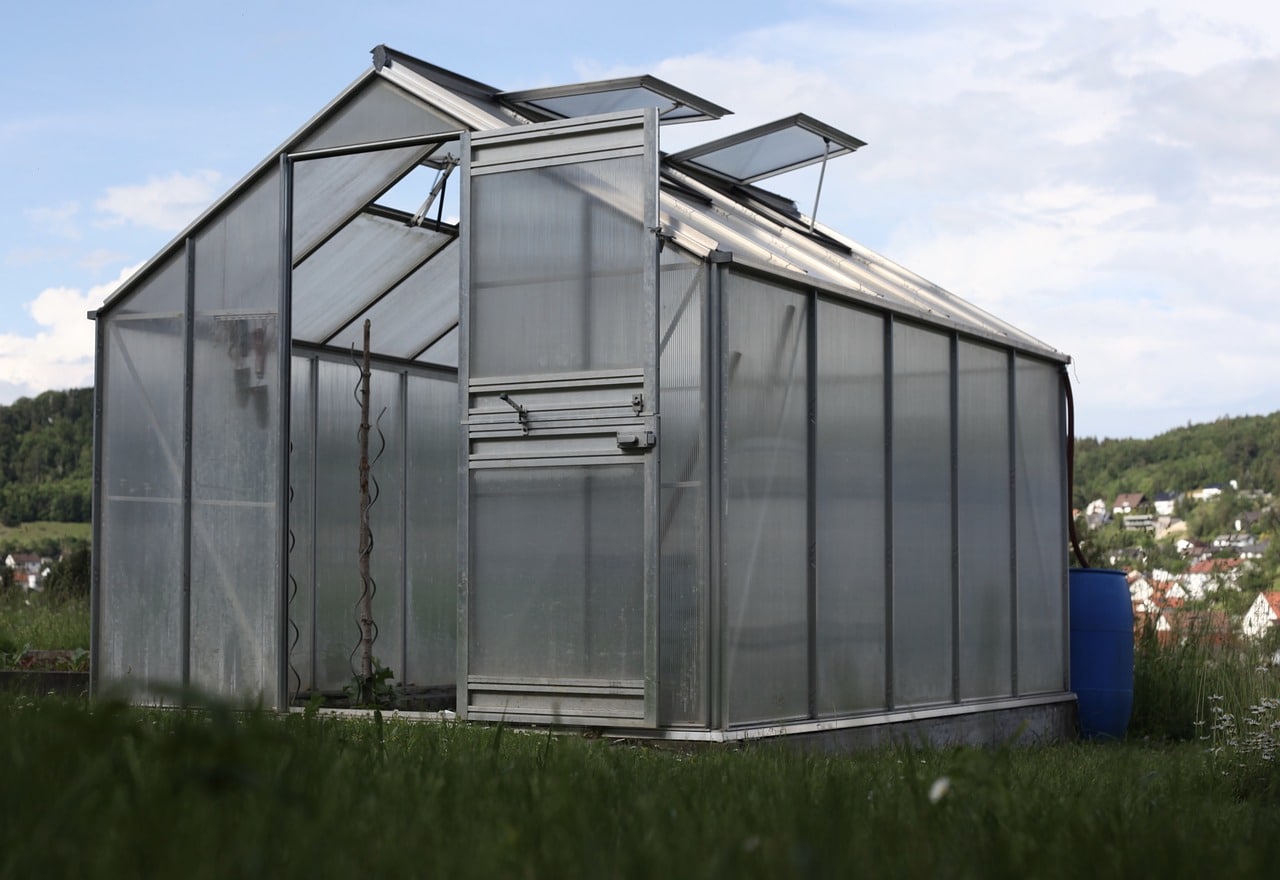 Cómo regular el calor para cultivos de clima frío en un invernadero de hobby 1