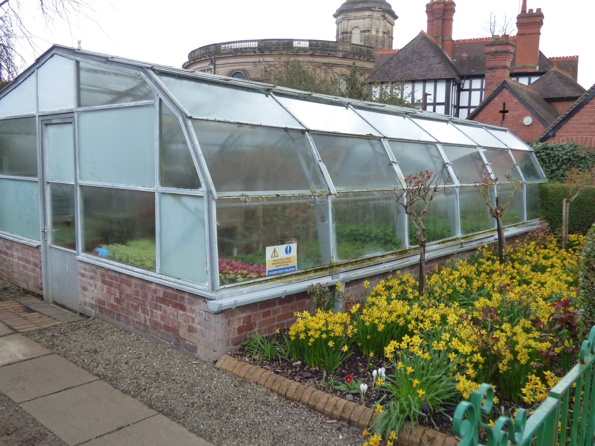 Walk-in Greenhouse vs Mini Invernadero: ¿Cuál es mejor para iniciar plantas? 1