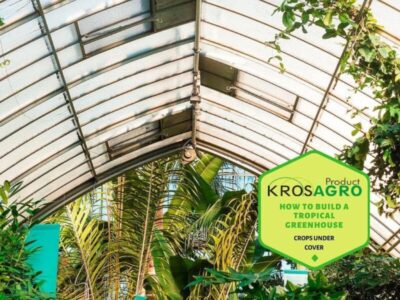 How To Build A Tropical Greenhouse - Polytunnels